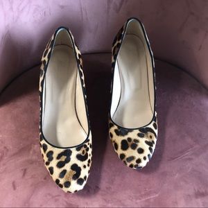 J crew leopard calf hair wedges